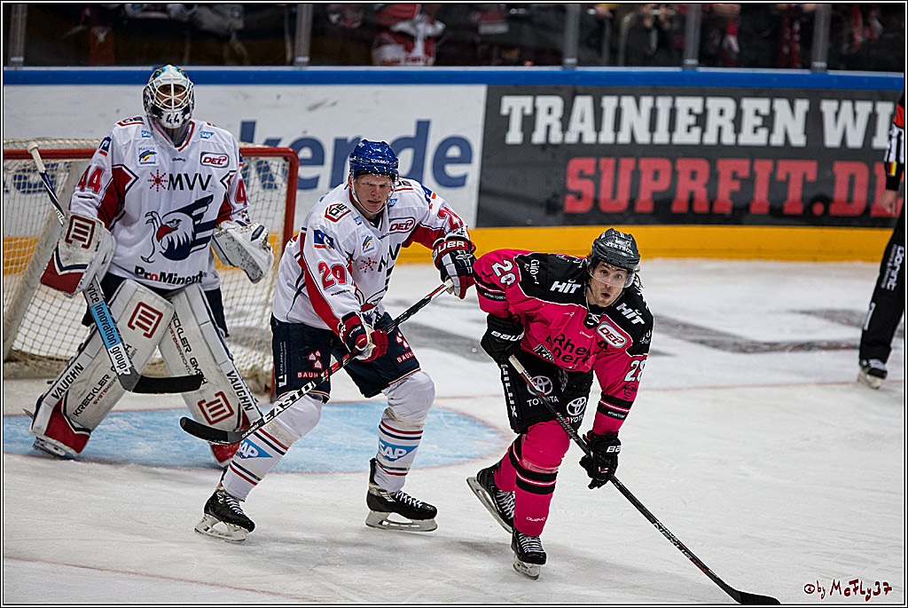 Koelner Haie - Adler Mannheim, 30.10.2016